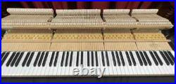 Schimmel SP182 6'0 Grand Piano Picarzo Pianos Exotic Bubinga Model (2004) VIDEO Schimmel SP182 6'0 Grand Piano Picarzo Pianos Exotic Bubinga Model (2004) VIDEO