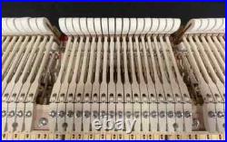 Schimmel SP182 6'0 Grand Piano Picarzo Pianos Exotic Bubinga Model (2004) VIDEO Schimmel SP182 6'0 Grand Piano Picarzo Pianos Exotic Bubinga Model (2004) VIDEO