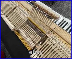 Schimmel SP182 6'0 Grand Piano Picarzo Pianos Exotic Bubinga Model (2004) VIDEO Schimmel SP182 6'0 Grand Piano Picarzo Pianos Exotic Bubinga Model (2004) VIDEO