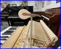 Schimmel SP182 6'0 Grand Piano Picarzo Pianos Exotic Bubinga Model (2004) VIDEO Schimmel SP182 6'0 Grand Piano Picarzo Pianos Exotic Bubinga Model (2004) VIDEO