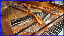 Schimmel SP Grand Piano Manufactured 2004 Free 1st floor delivery in NJ