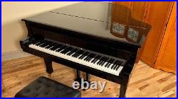 Schimmel Wilhelm Piano