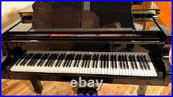 Schimmel Wilhelm Piano