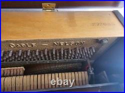 Spindel Piano Cable Nelson