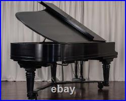 Steinertone Rebuilt 9'4 Concert Grand Piano #12031