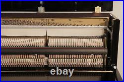 Steinmayer Upright Piano For Sale with a Black Case and Brass Fittings
