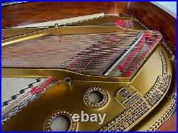 Steinway A Grand Piano Free Nyc Shipping Only