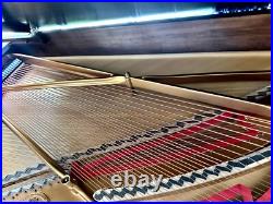 Steinway B Top Quality Full Restoration 6'11 Satin Ebony Grand Piano Steinway B Top Quality Full Restoration 6'11 Satin Ebony Grand Piano