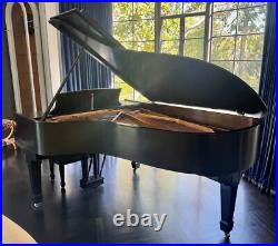 Steinway B Top Quality Full Restoration 6'11 Satin Ebony Grand Piano Steinway B Top Quality Full Restoration 6'11 Satin Ebony Grand Piano