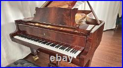 Steinway D Centennial Grand Piano (1880) Fully Restored #44720