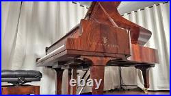 Steinway D Centennial Grand Piano (1880) Fully Restored #44720