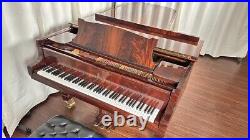 Steinway D Centennial Grand Piano (1880) Fully Restored #44720