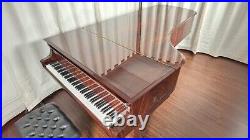 Steinway D Centennial Grand Piano (1880) Fully Restored #44720