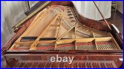 Steinway D Centennial Grand Piano (1880) Fully Restored #44720