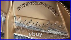 Steinway D Centennial Grand Piano (1880) Fully Restored #44720