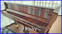 Steinway D Centennial Grand Piano (1880) Fully Restored #44720