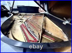 Steinway L Grand Piano 5'10 1/2 Satin Ebony