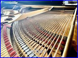 Steinway M Grand Piano 5'7 Polished Mahogany Steinway M Grand Piano 5'7 Polished Mahogany