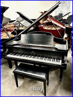 Steinway M Grand Piano 5'7 Satin Ebony