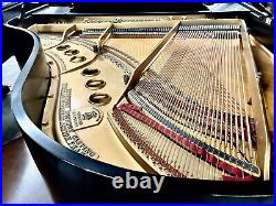 Steinway M Grand Piano 5'7 Satin Ebony