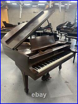 Steinway M Grand Piano 5'7 Satin Walnut