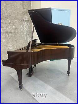 Steinway M Grand Piano 5'7 Satin Walnut