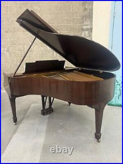 Steinway M Grand Piano 5'7 Satin Walnut