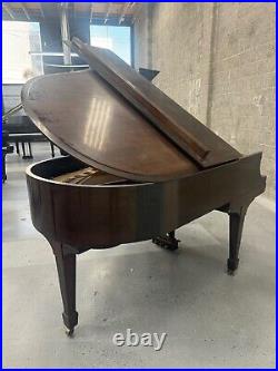 Steinway M Grand Piano 5'7 Satin Walnut