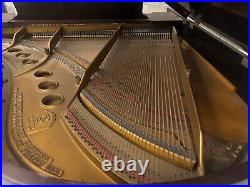 Steinway M Grand Piano 5'7 Satin Walnut