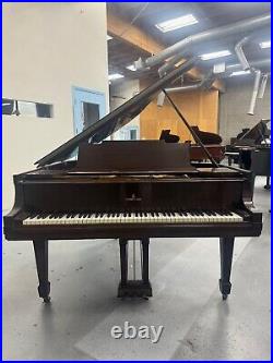 Steinway M Grand Piano 5'7 Satin Walnut