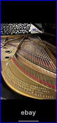 Steinway Model B