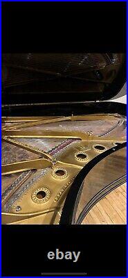 Steinway Model B