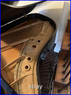 Steinway Model L 1956 Great Condition