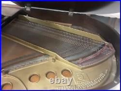Steinway Model M 1922, This Piano is Ready for Rebuilding