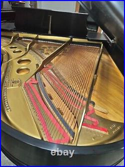 Steinway O Grand Piano 5'10 1/2 Satin Ebony