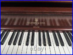 Steinway & Sons Model P