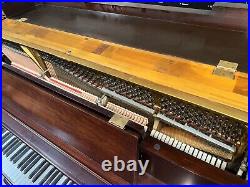 Steinway & Sons Model P