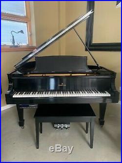 Steinway and Sons Grand Piano with Player
