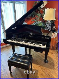 Story & Clark Prelude player Piano (Plays By Itself)