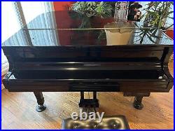 Story & Clark Prelude player Piano (Plays By Itself)