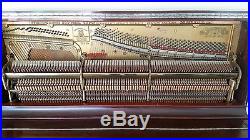Upright Steinway Piano (1893) with great soundboard