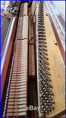 Upright Steinway Piano (1893) with great soundboard