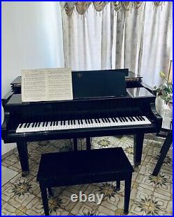 Vintage george steck piano