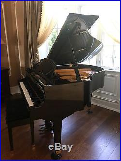 Wurlitzer Piano. Price Reduced. Piano is a steal at this price. Mint condition