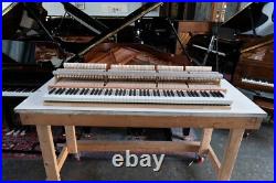 Yamaha C3X Grand Piano Yamaha C3X Grand Piano