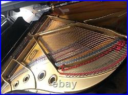 Yamaha C3 6'1 Conservatory Grand Piano