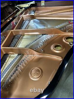 Yamaha C5X 2025 Grand Piano Outlet