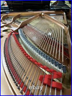 Yamaha C5X 2025 Grand Piano Outlet