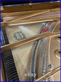 Yamaha C7 REAL 7'6 Grand Piano Outlet