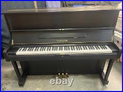 Yamaha U1 Piano 1985 Pristine Refurbished